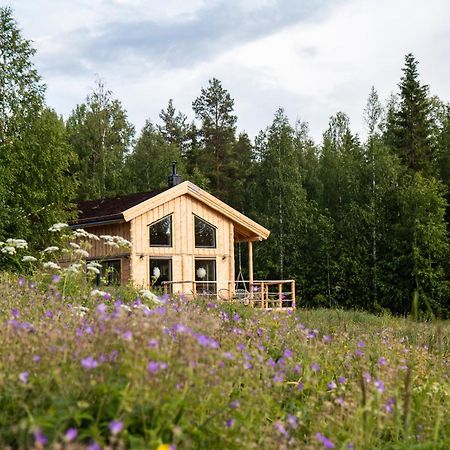 Blueberry Lodge 5 Personnes Mjolan Exteriör bild