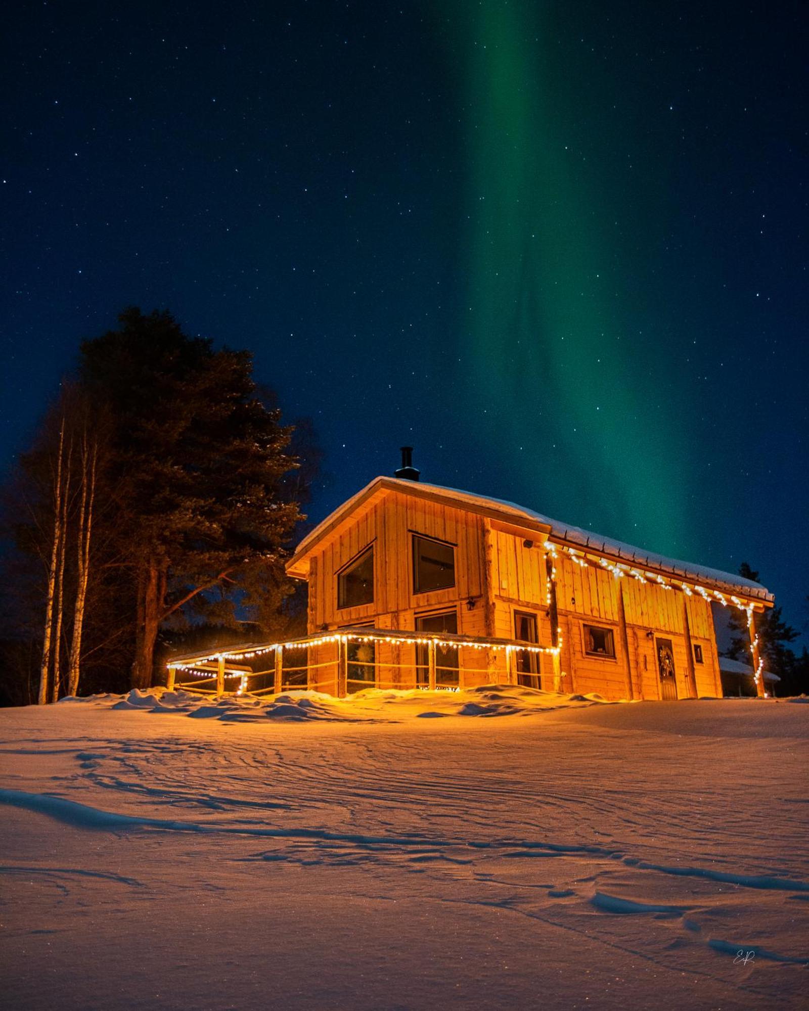Blueberry Lodge 5 Personnes Mjolan Exteriör bild