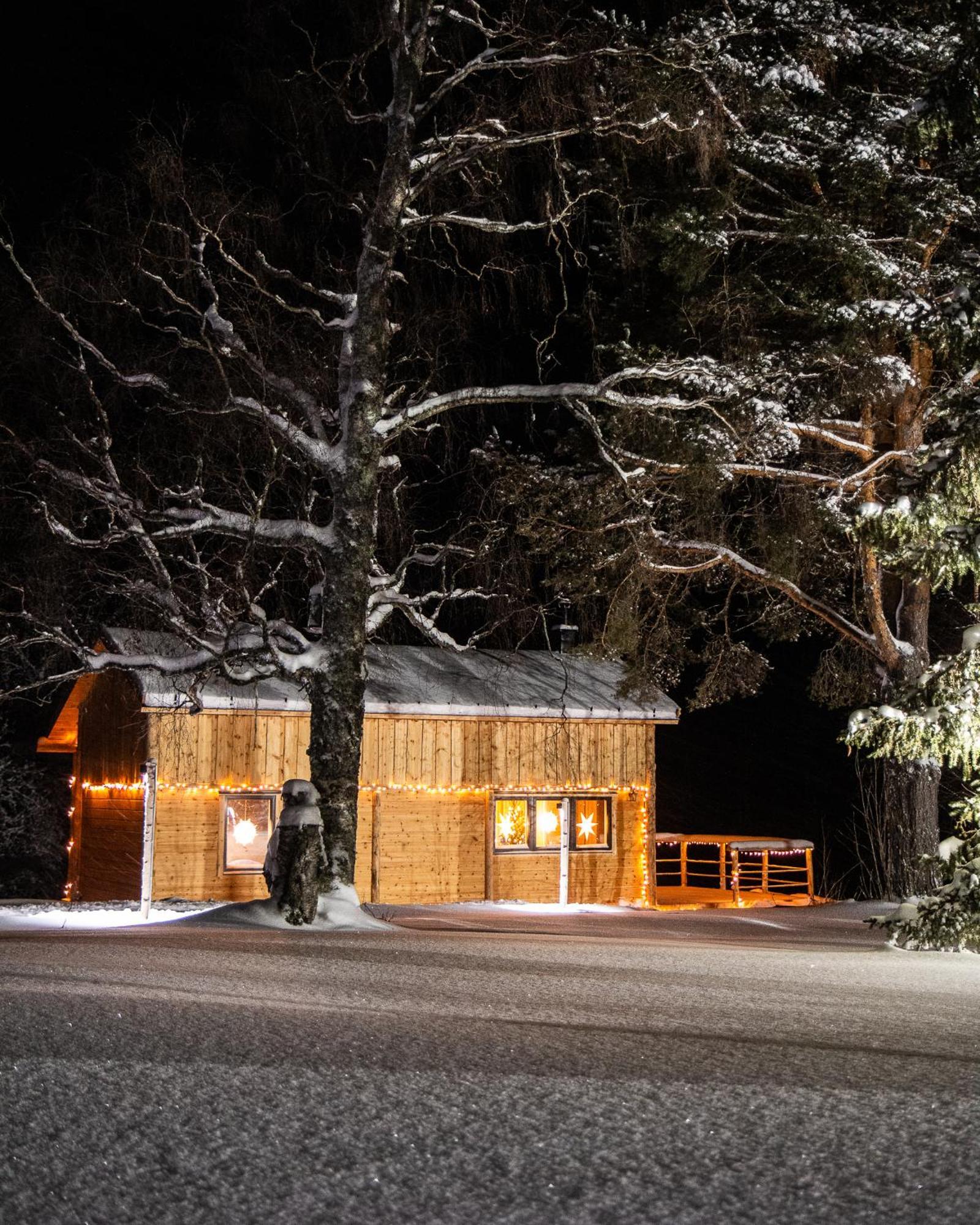 Blueberry Lodge 5 Personnes Mjolan Exteriör bild