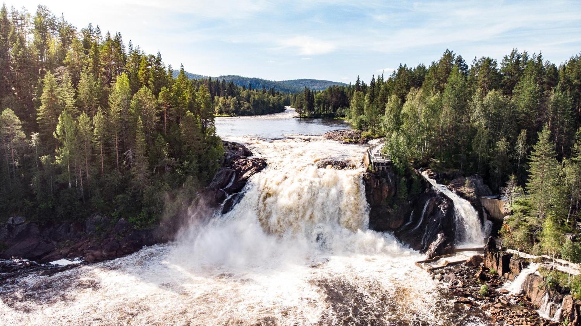 Blueberry Lodge 5 Personnes Mjolan Exteriör bild