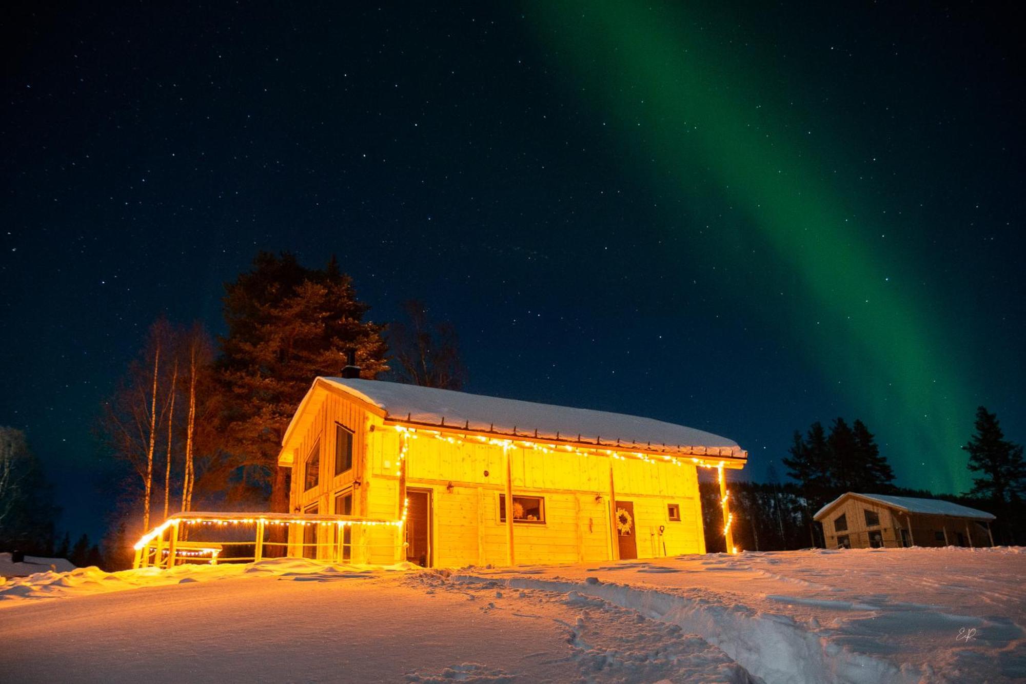 Blueberry Lodge 5 Personnes Mjolan Exteriör bild