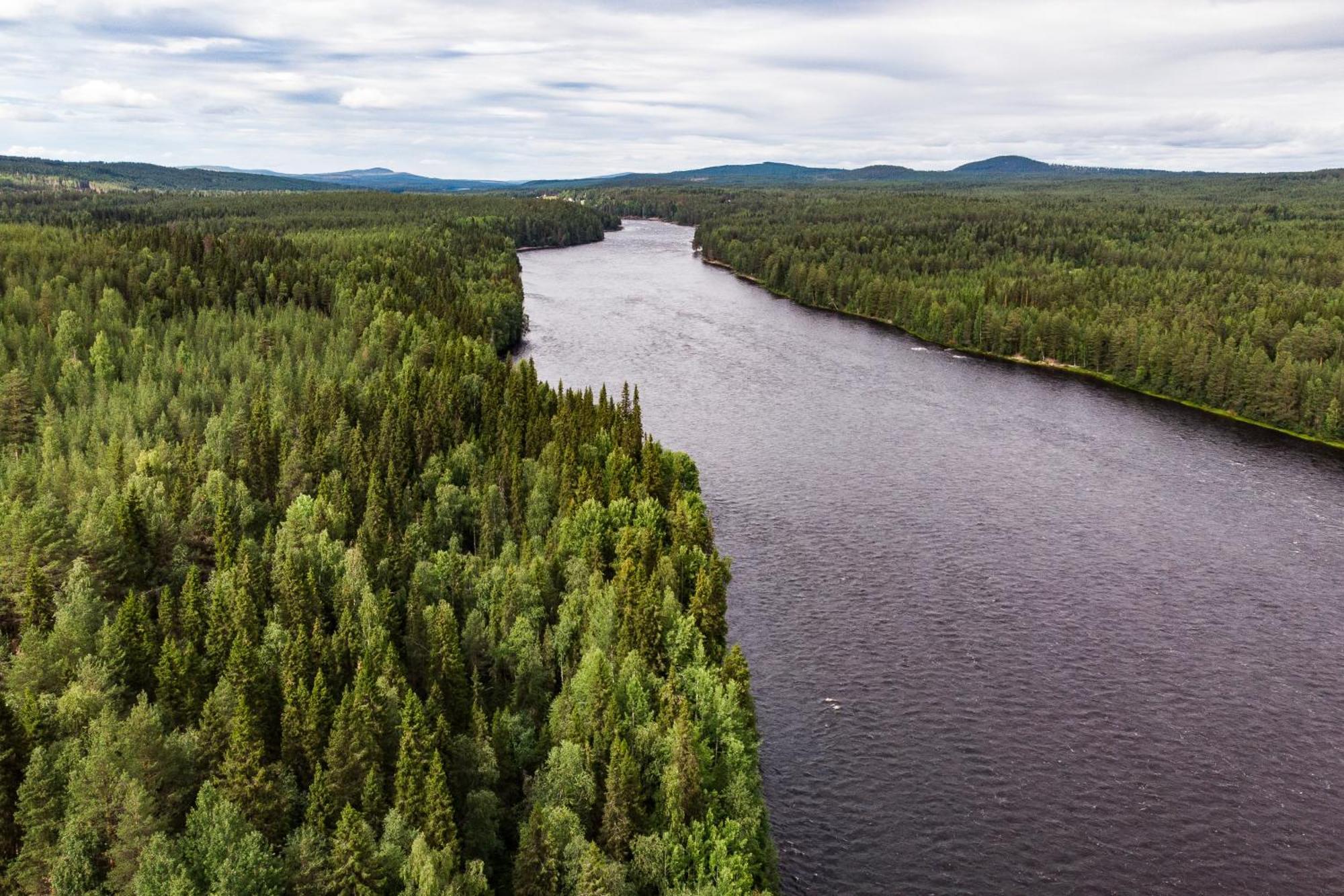 Blueberry Lodge 5 Personnes Mjolan Exteriör bild