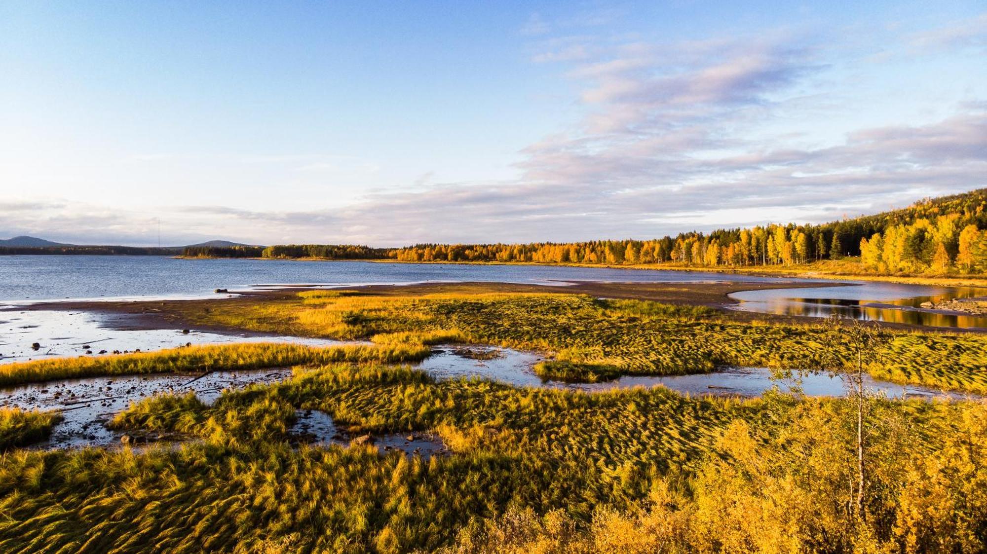 Blueberry Lodge 5 Personnes Mjolan Exteriör bild